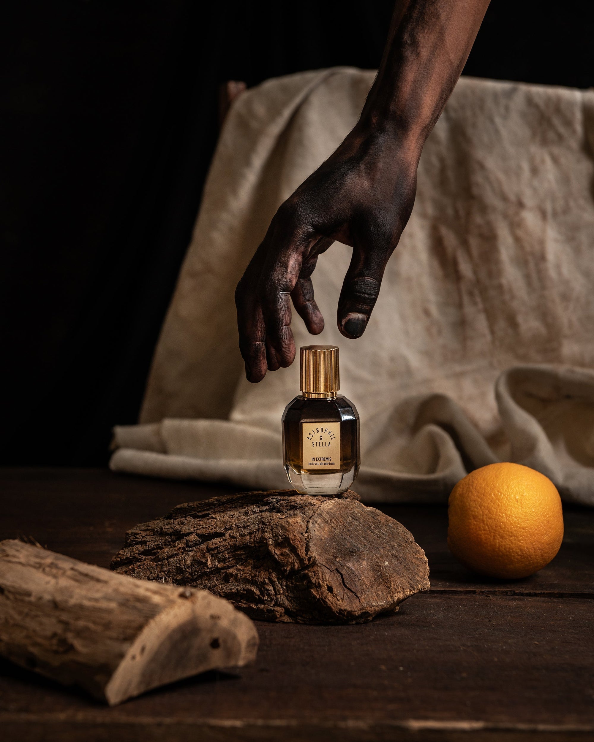 Astrophil & Stella - In Extremis