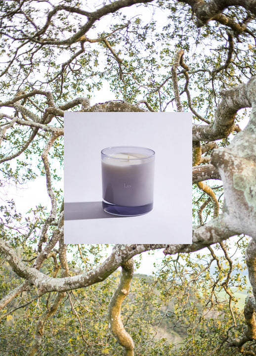 Liis - Reyes Candle