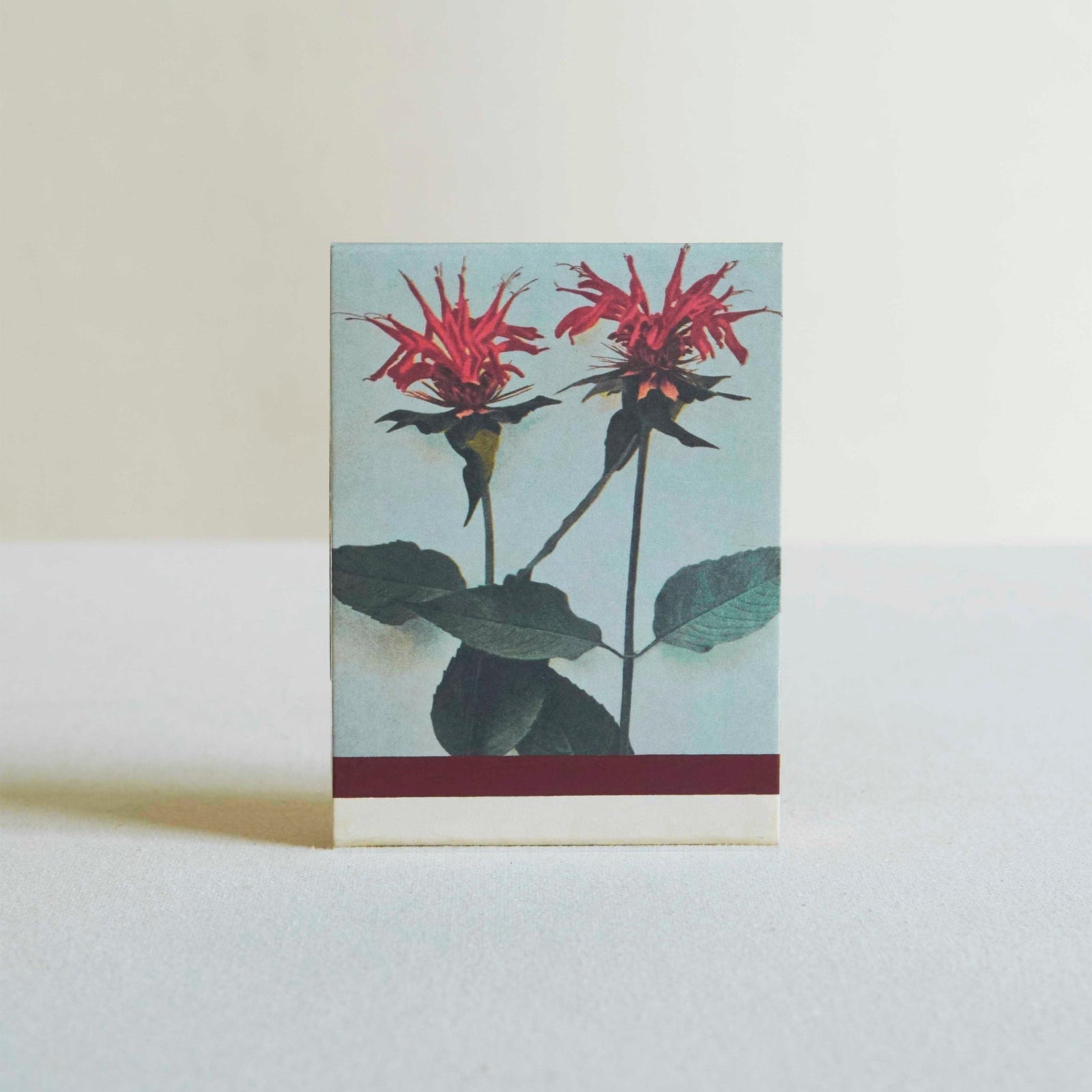 The Quiet Botanist - Candle - In the Weeds