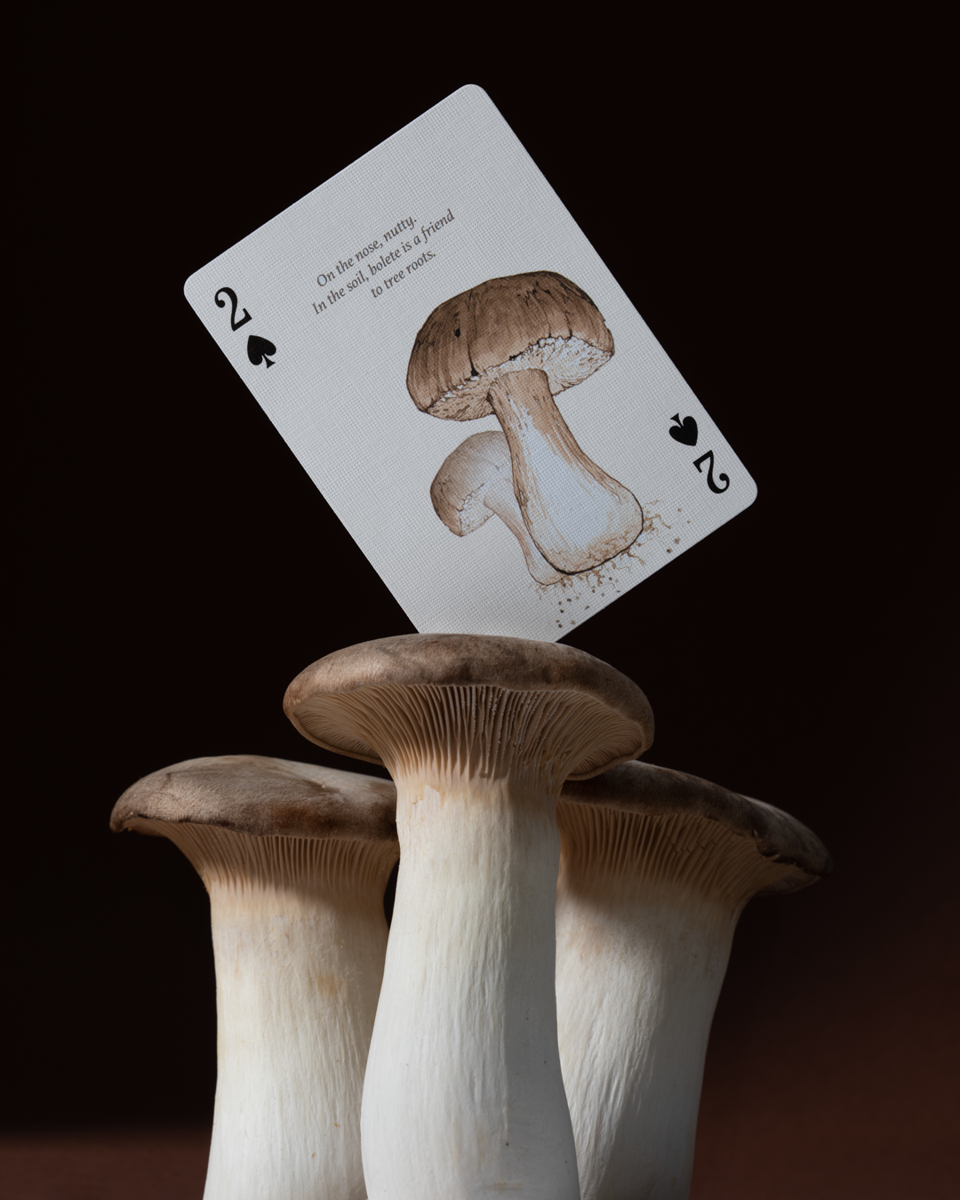 Eastern Forest - Playing Cards
