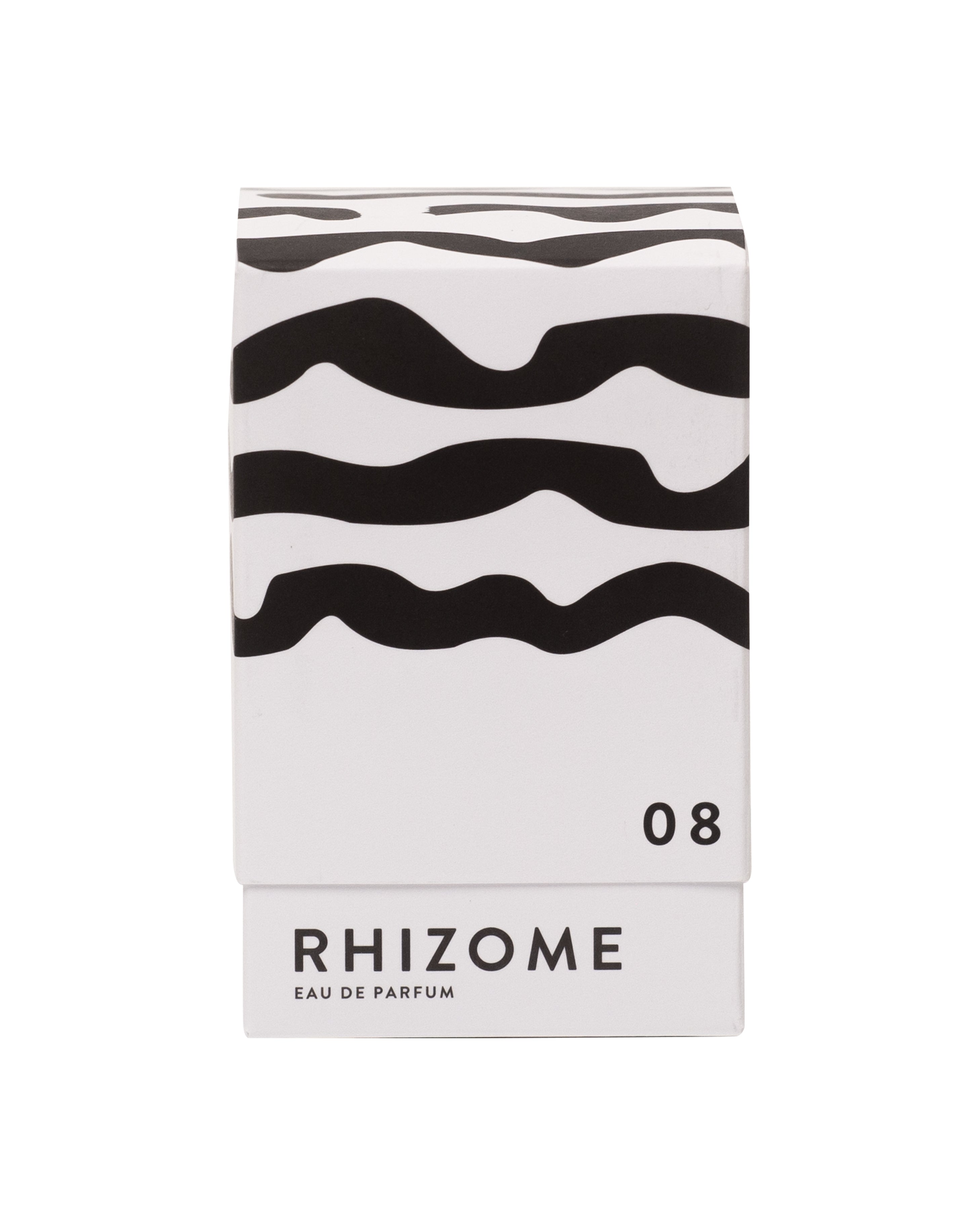 Rhizome 08 - Thumbnail 3