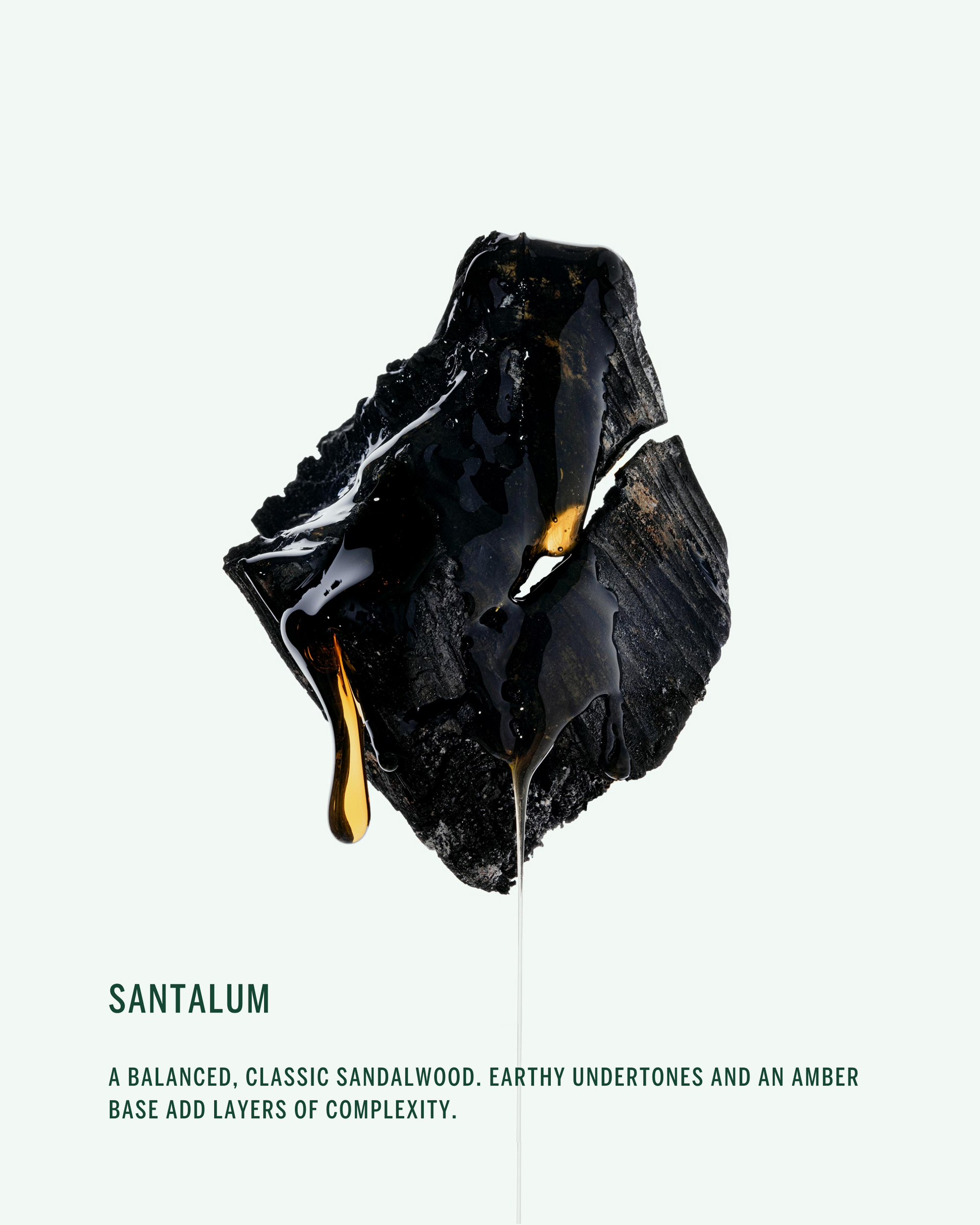 Corpus - Santalum Deodorant