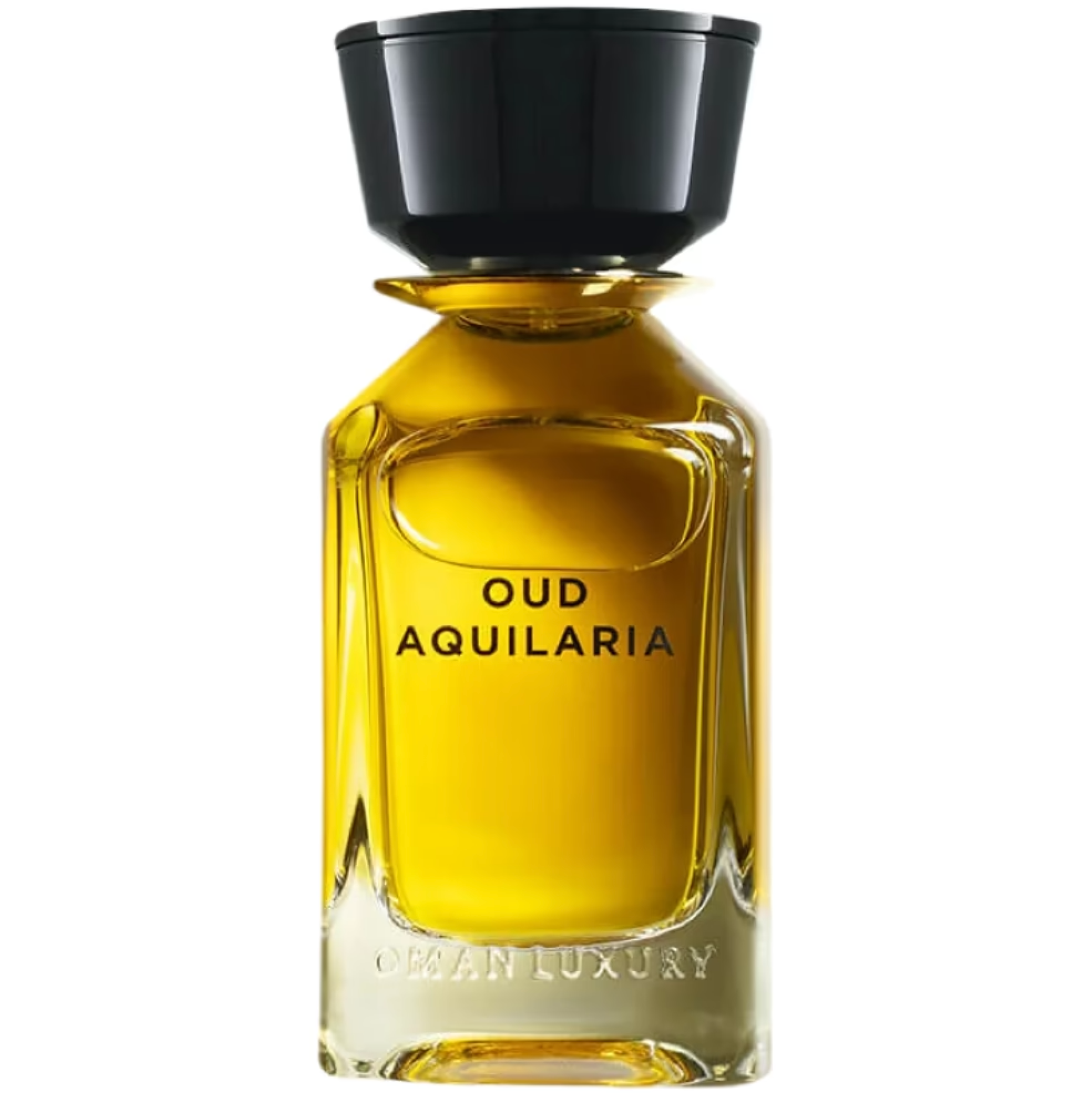 Omanluxury - Oud Aquilaria