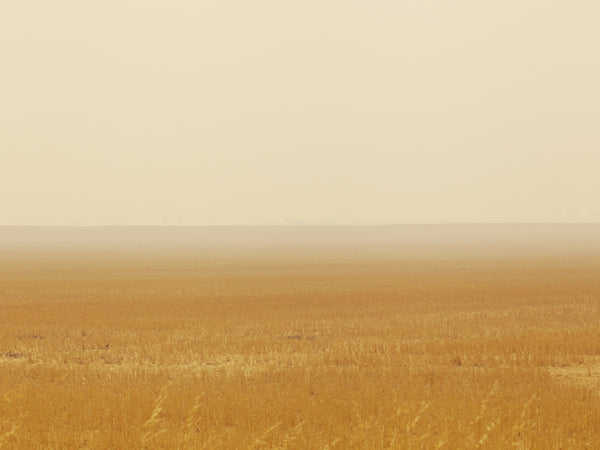 Mihan Aromatics - Petrichor Plains Parfum