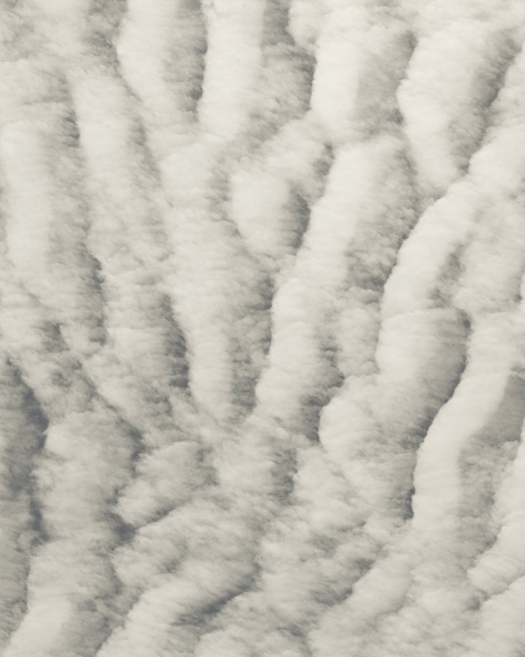 Mihan Aromatics - Petrichor Plains Parfum