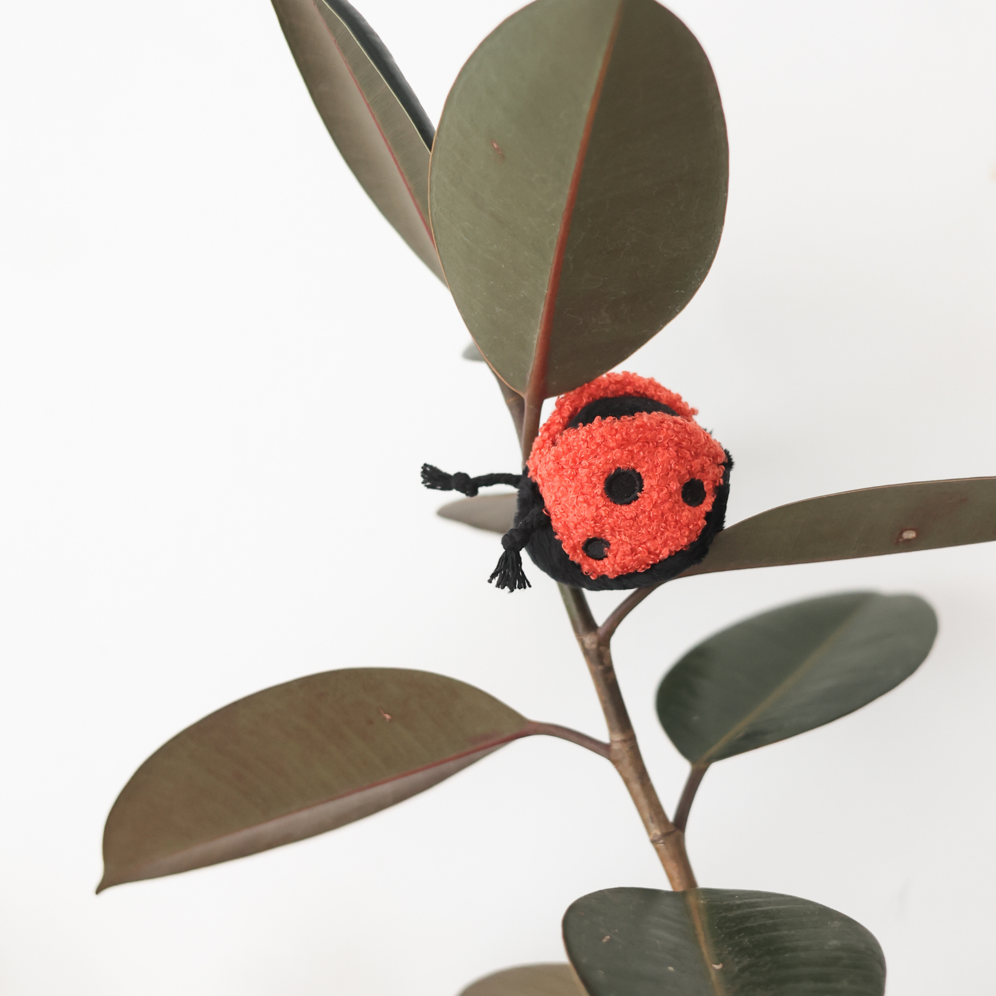 Lambwolf Collective - Mini Enrichment Squeaky Ball Dog Toy - Ladybug Pop