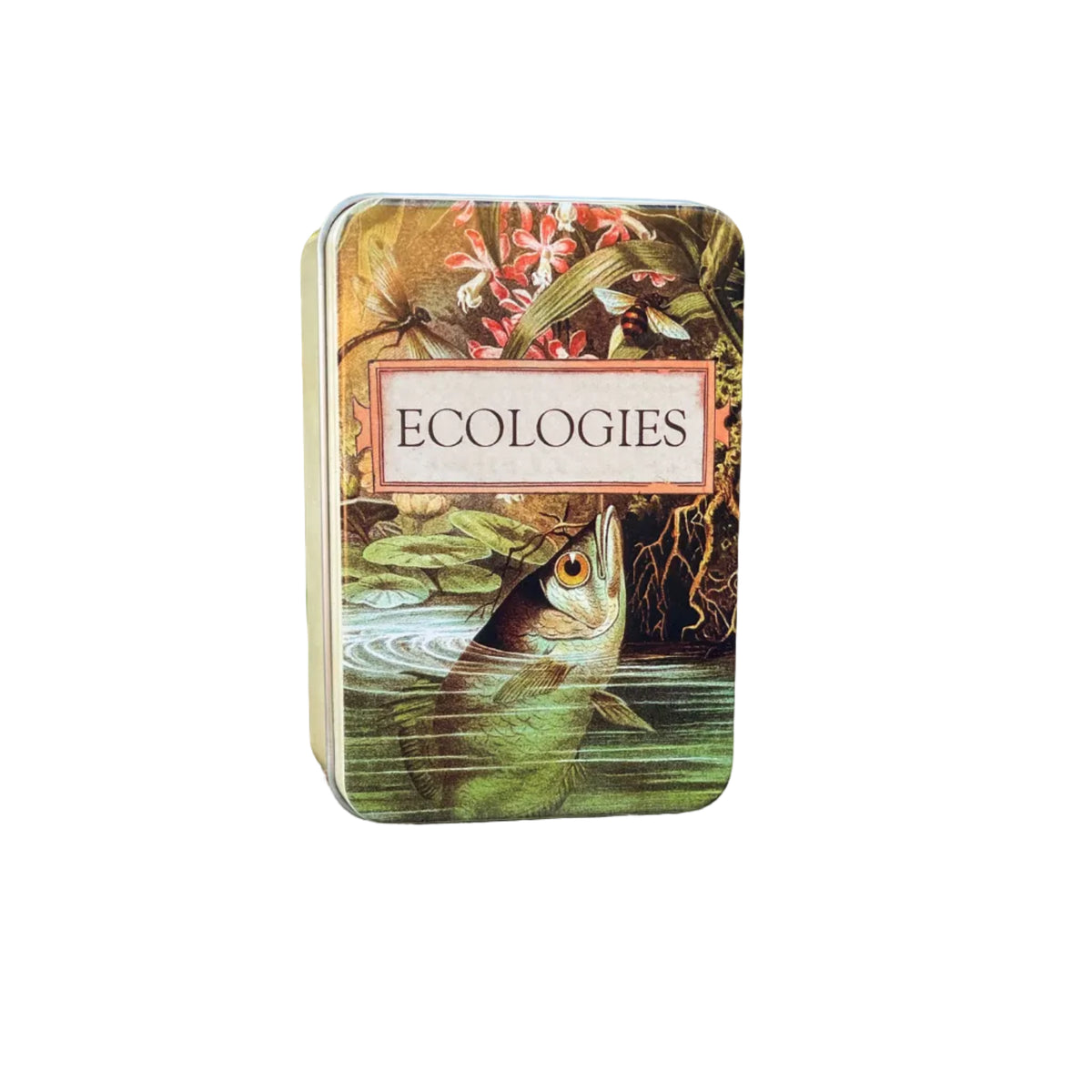 Ecologies Card Game Metal Tin - Archerfish Image