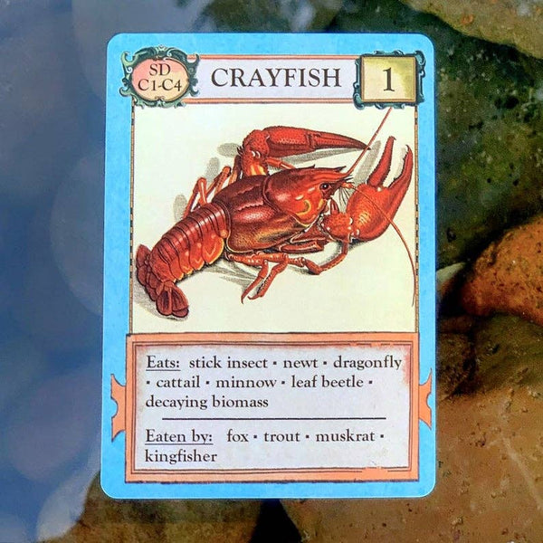 Ecologies: Bizarre Biomes - Card Game