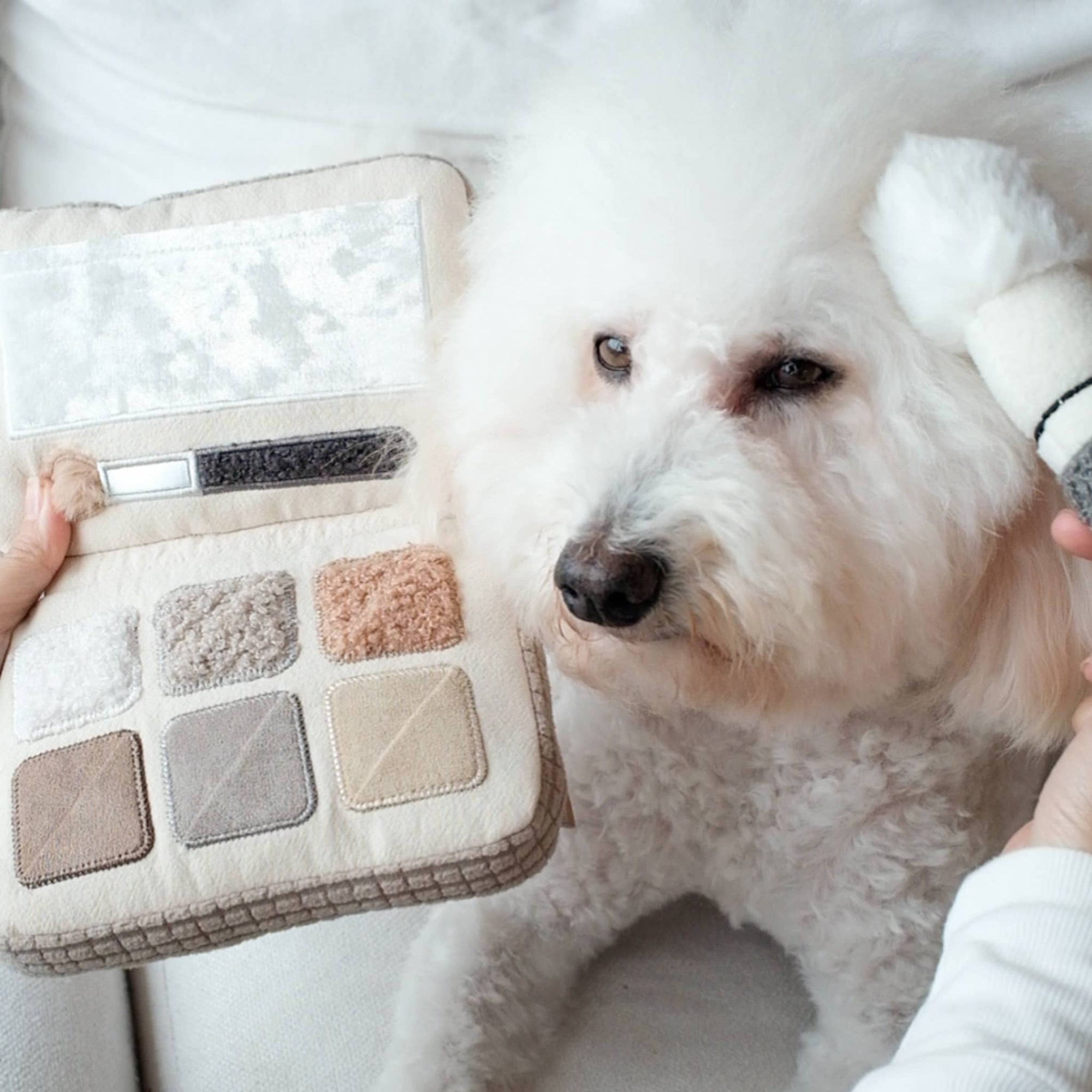 Lambwolf Collective - Enrichment Snuffle Dog Toy - Eyeshadow Palette
