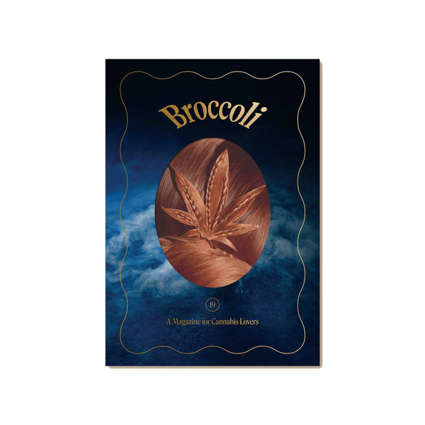 Broccoli Magazine Issue 19 - Space Camp