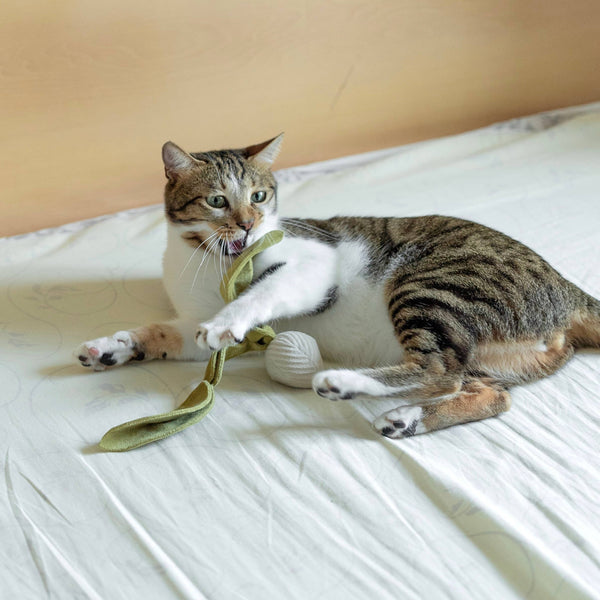 Lambwolf Collective - Cat Toy - Small Radish - Cream