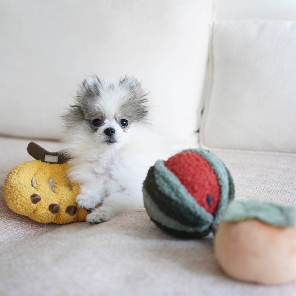 Lambwolf Collective - Enrichment Squeaky Ball Dog Toy - Watermelon Pop