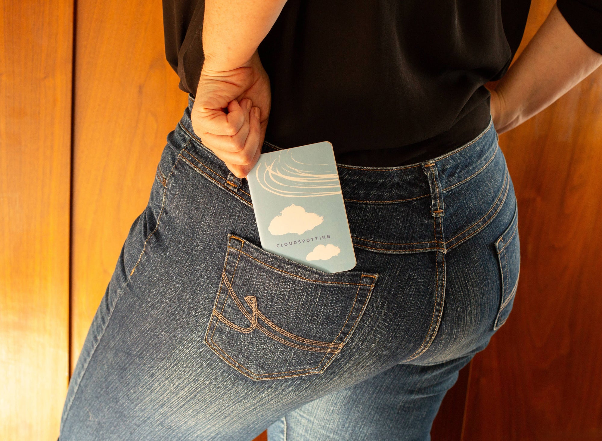 Cloudspotting Pocket Notebook