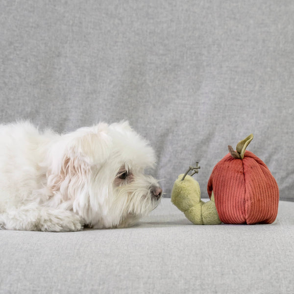 Lambwolf Collective - Snuffle + Burrow Enrichment Dog Toy Set - Apple