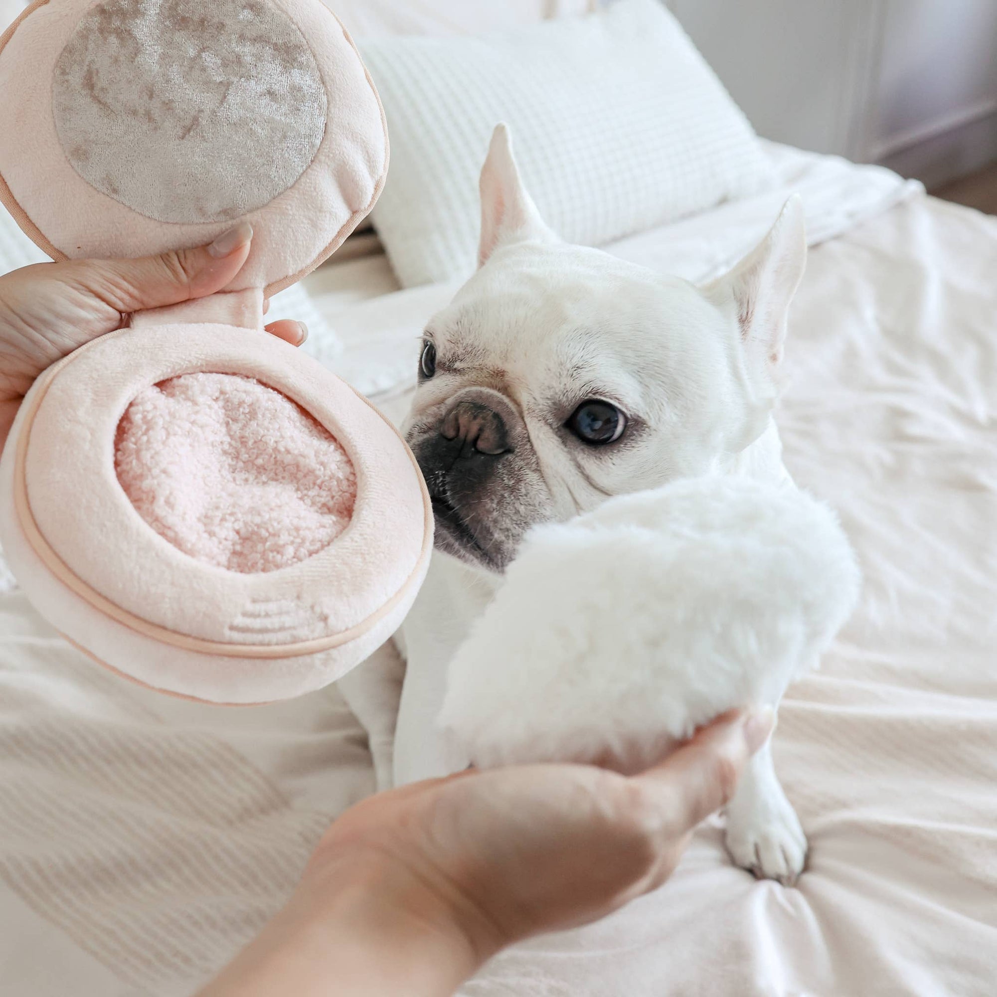 Lambwolf Collective - BLUSH // ENRICHMENT DOG TOY // SNUFFLE