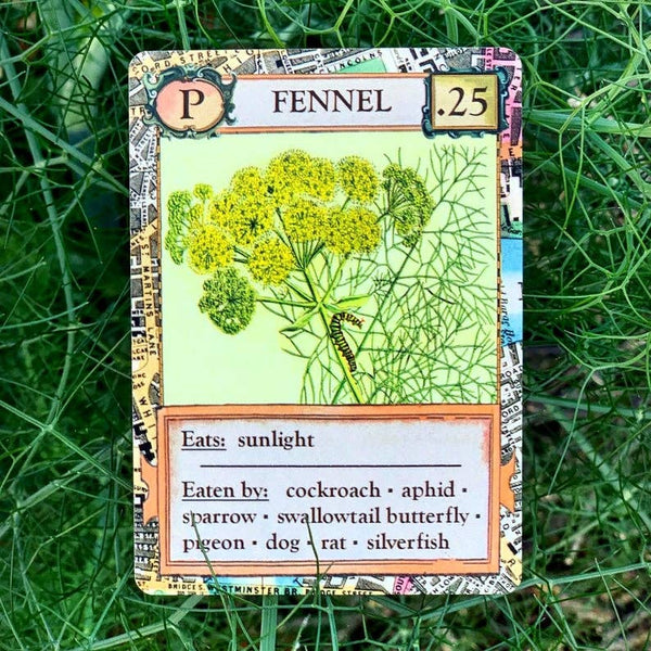 Ecologies: Bizarre Biomes - Card Game