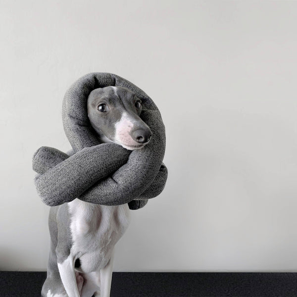 Lambwolf Collective - Nou Enrichment Dog Toy - Charcoal at Space Camp In Portland, Oregon