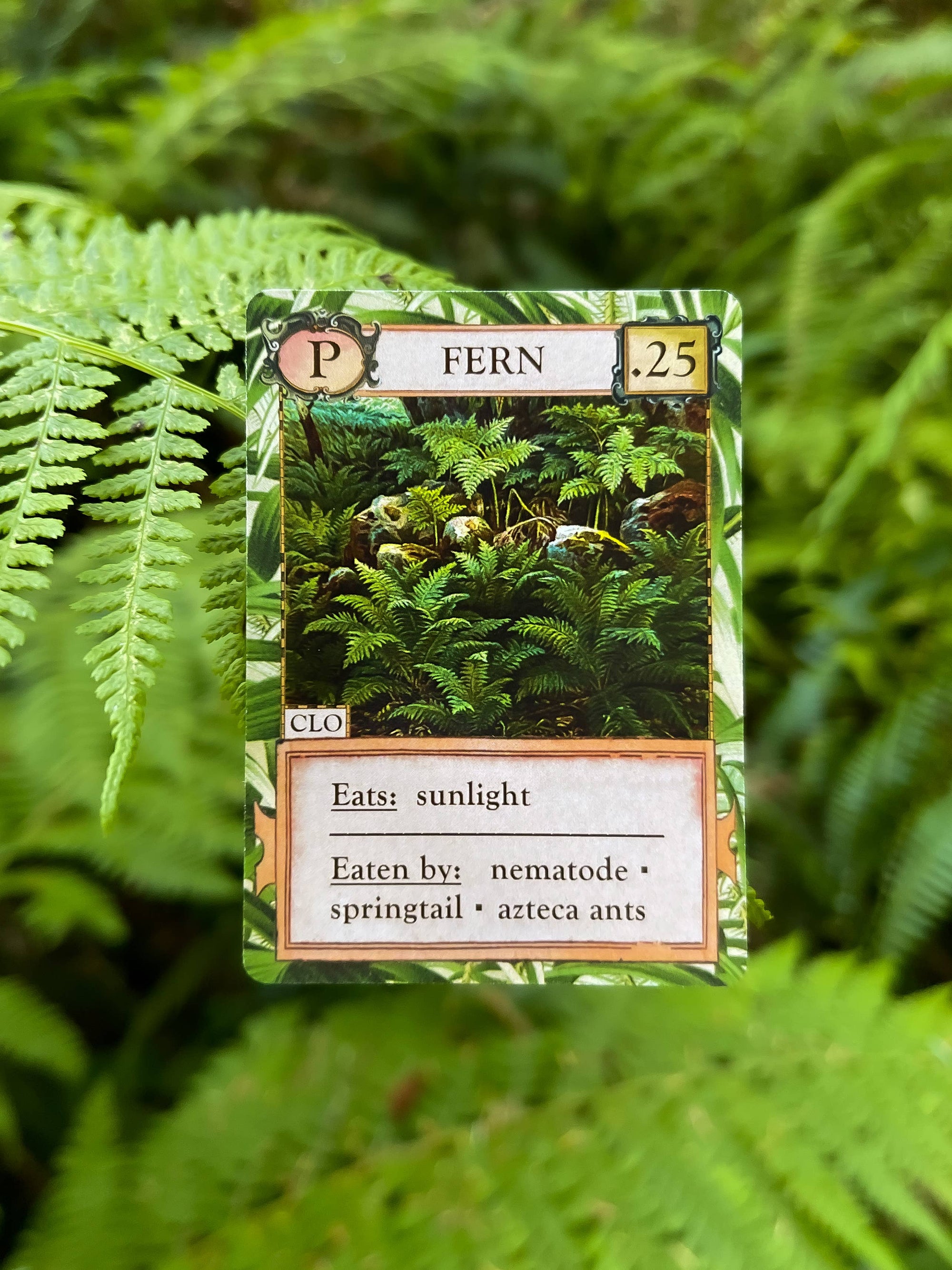 Ecologies: Hidden Habitats - Card Game