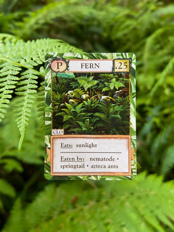 Ecologies: Hidden Habitats - Card Game