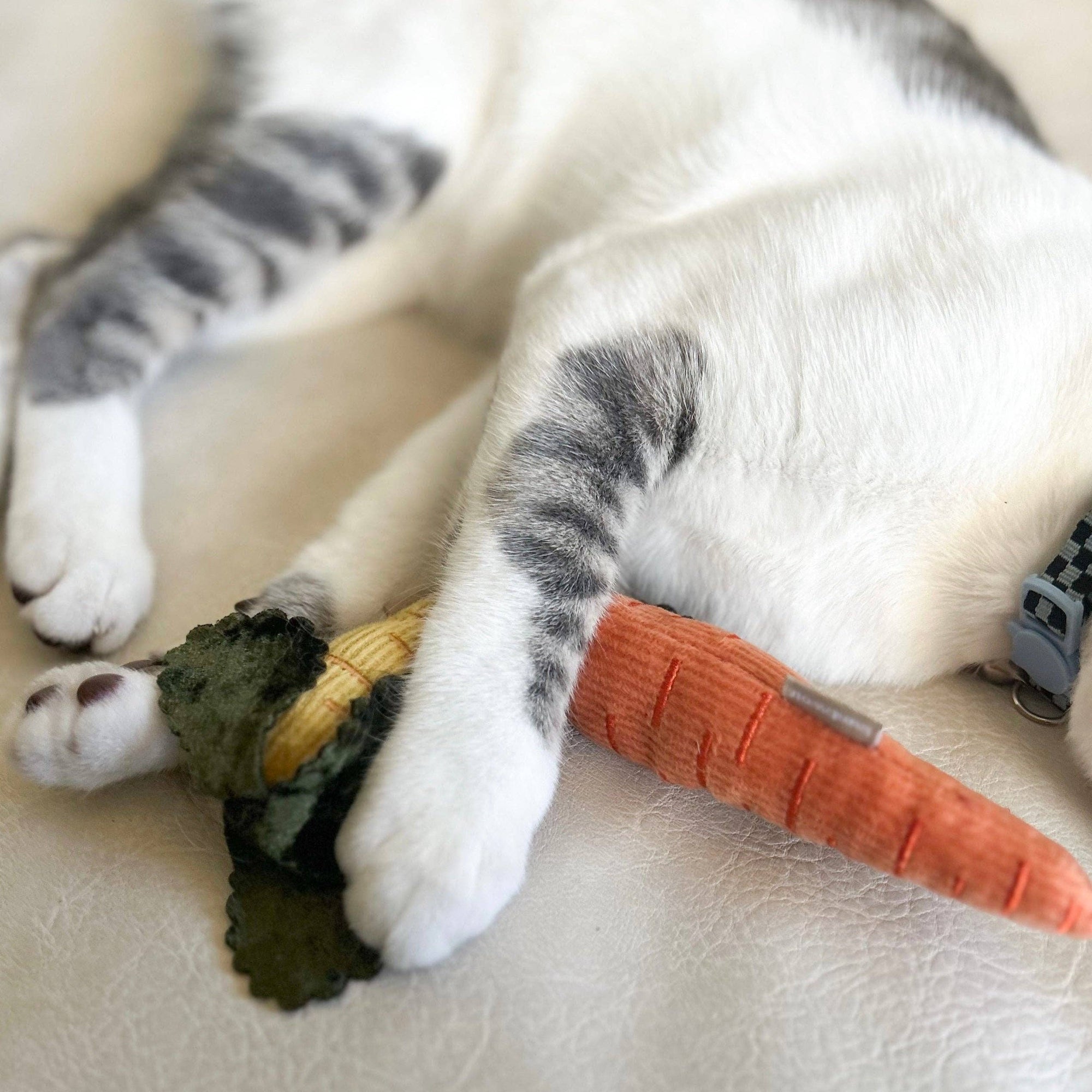 Lambwolf Collective - Catnip Cat Toy - Kitty Baby Carrots