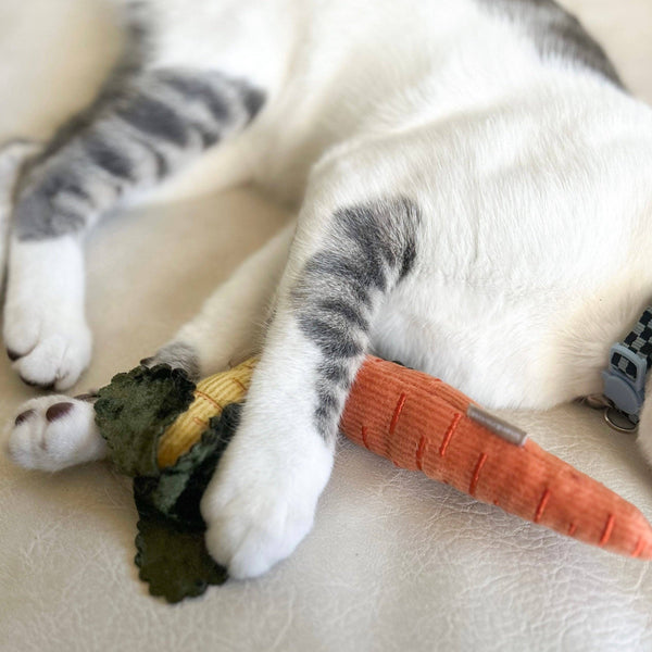 Lambwolf Collective - Catnip Cat Toy - Kitty Baby Carrots