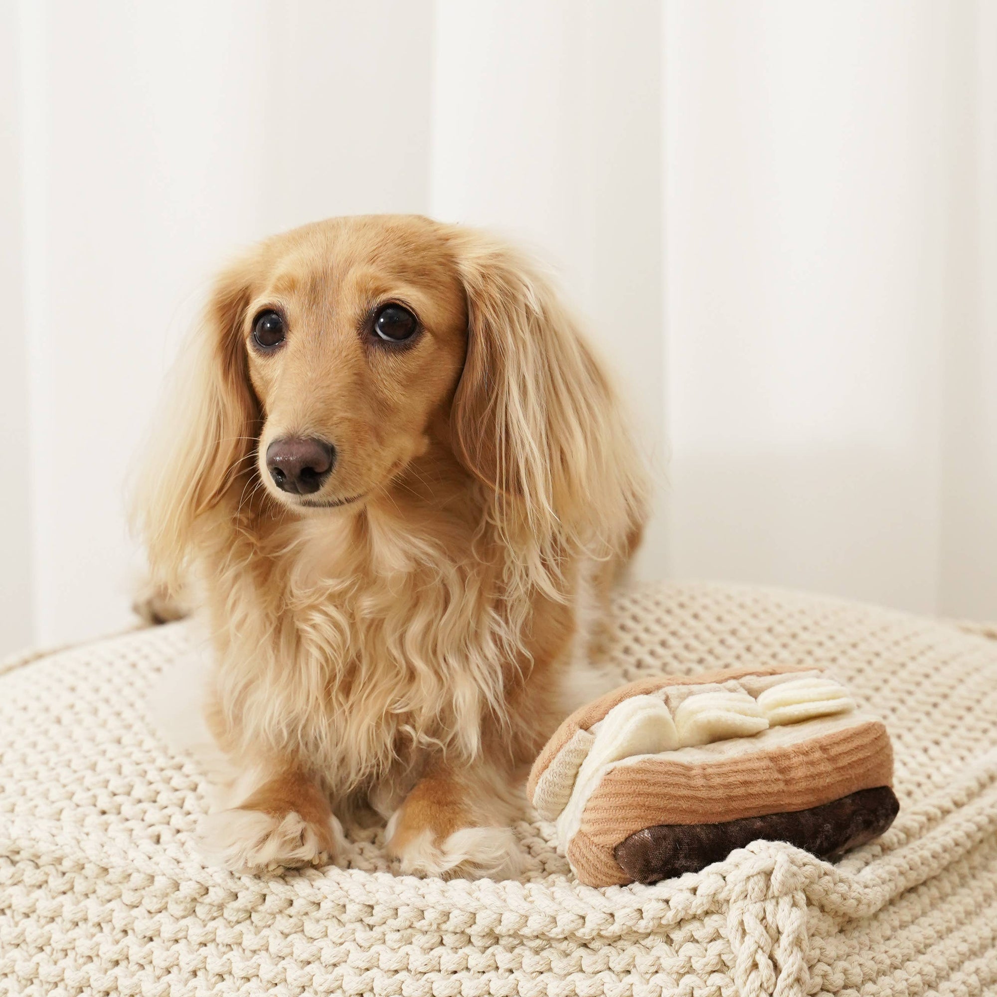Lambwolf Collective - Enrichment Snuffle Dog Toy - Eclair