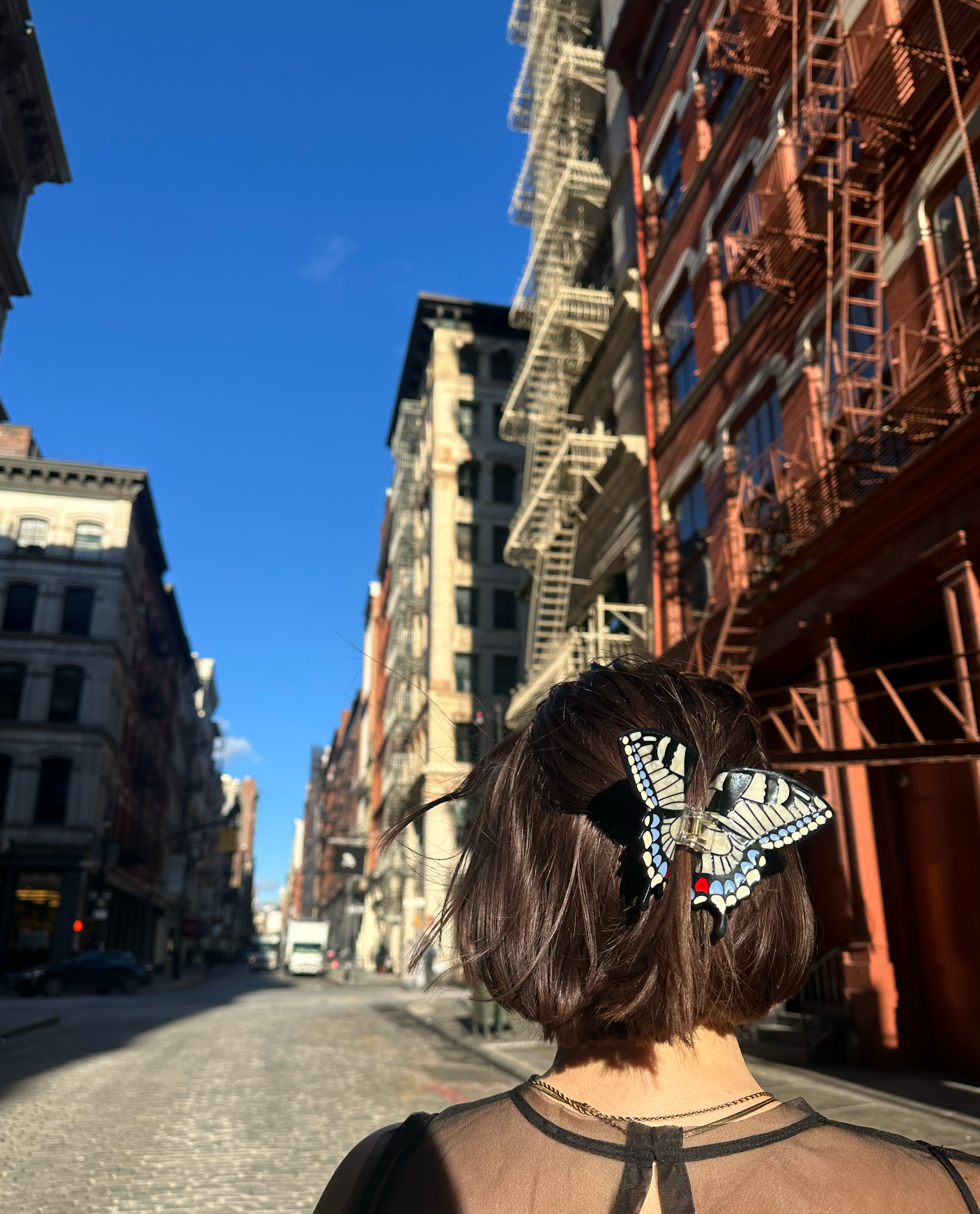 Solar Eclipse - Hand-Painted Swallowtail Butterfly Claw Hair Clip - White