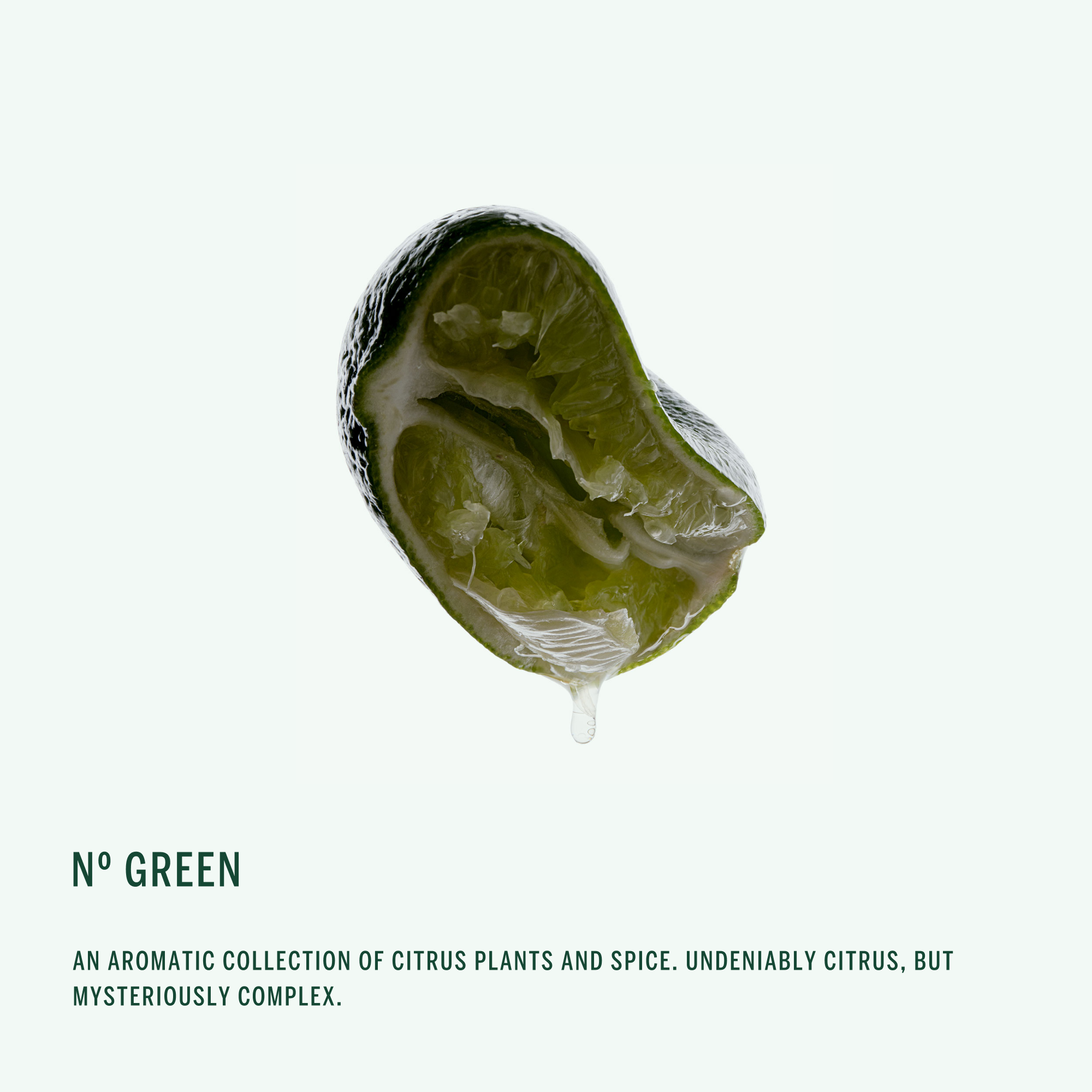 Corpus - No. Green 2oz Body Butter