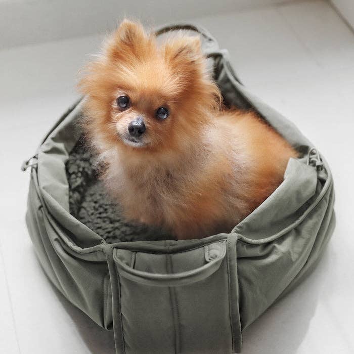 Lambwolf Collective - Olla Petite Pet  Carrier - Fern