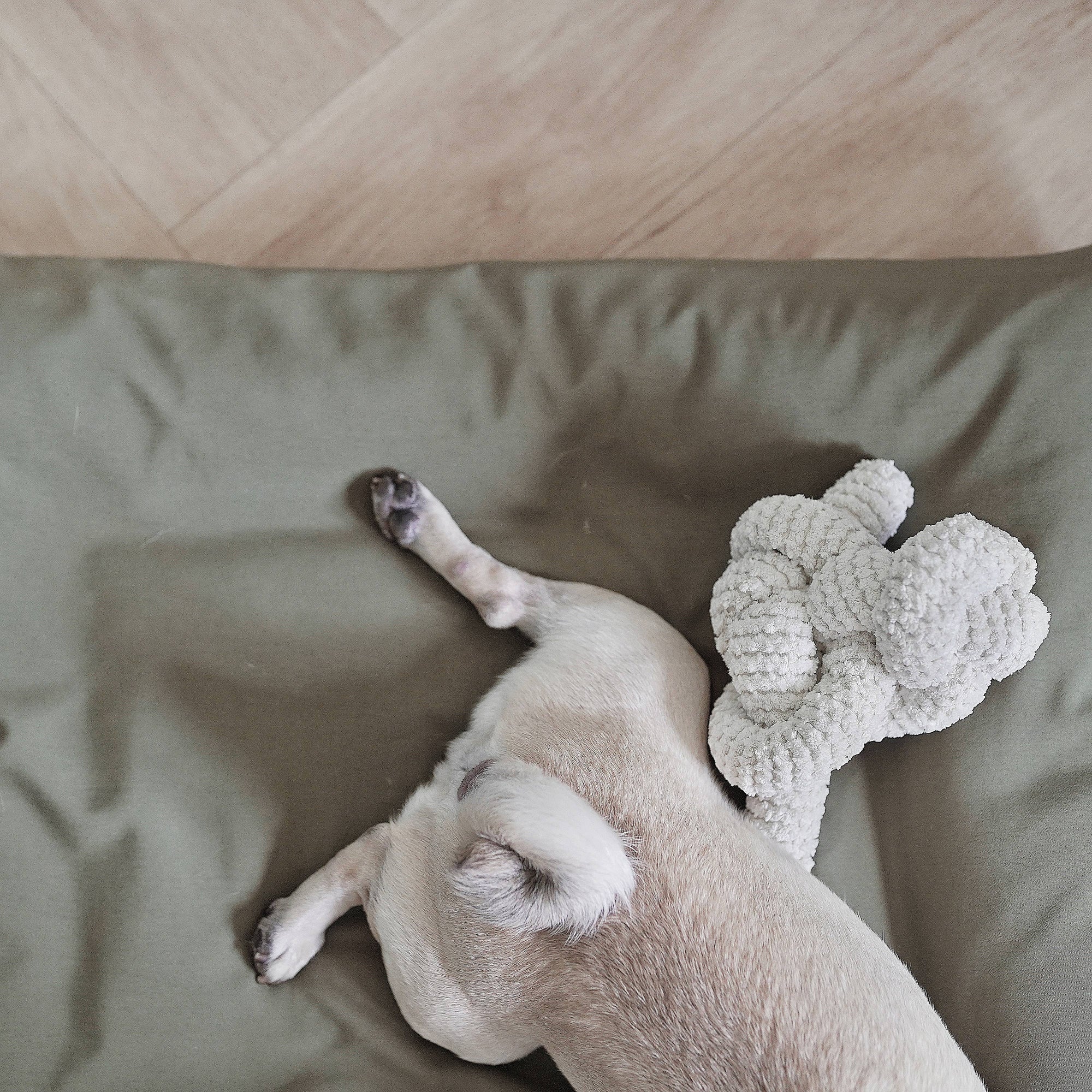 Lambwolf Collective - Nou Enrichment Dog Toy - Cream at Space Camp in Portland, Oregon