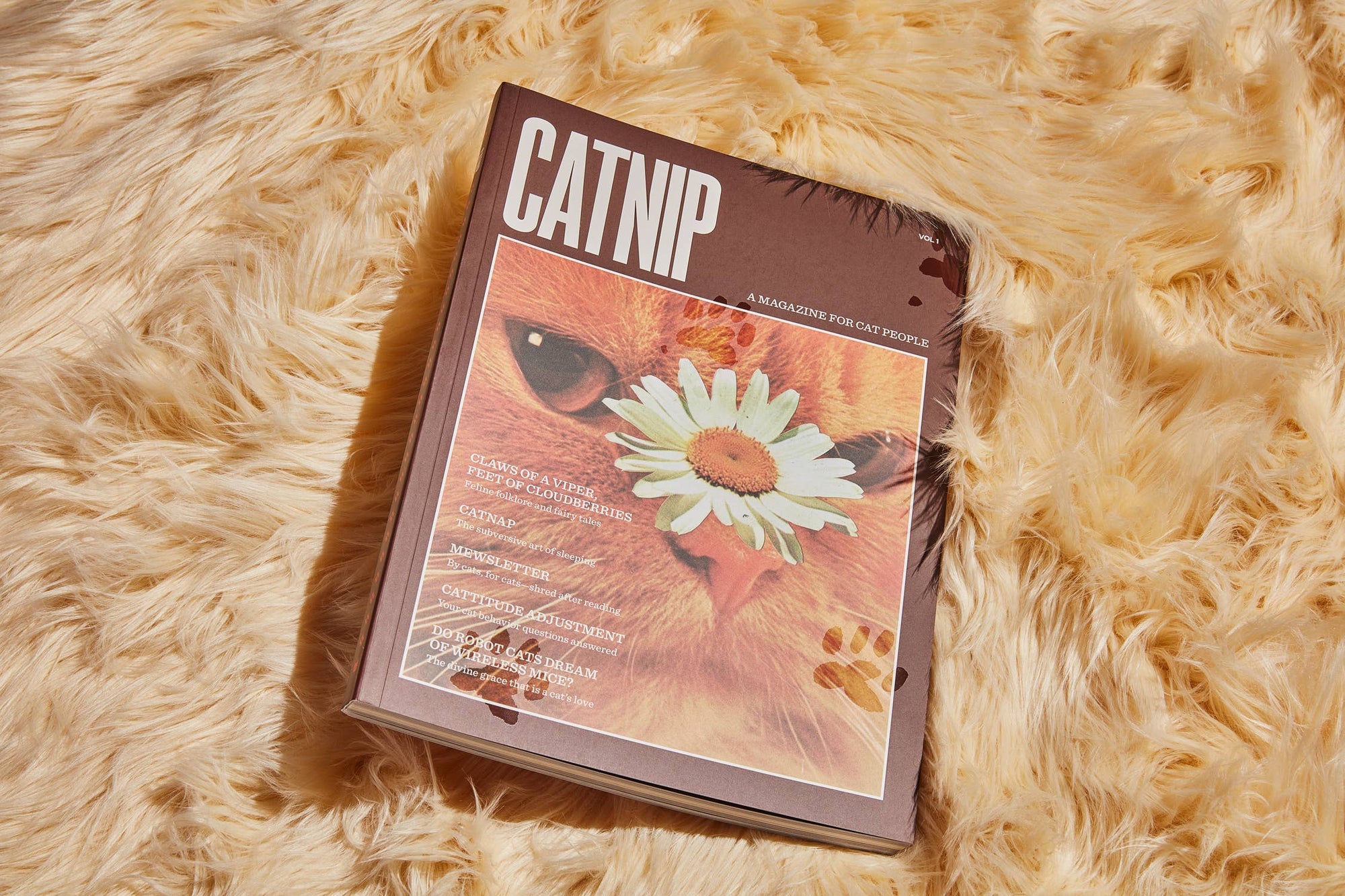 Catnip Magazine - Space Camp