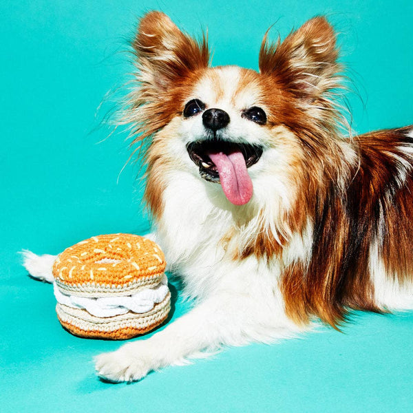 Ware of the Dog - Hand Crochet Dog Toy - Bagel & Cream Cheese