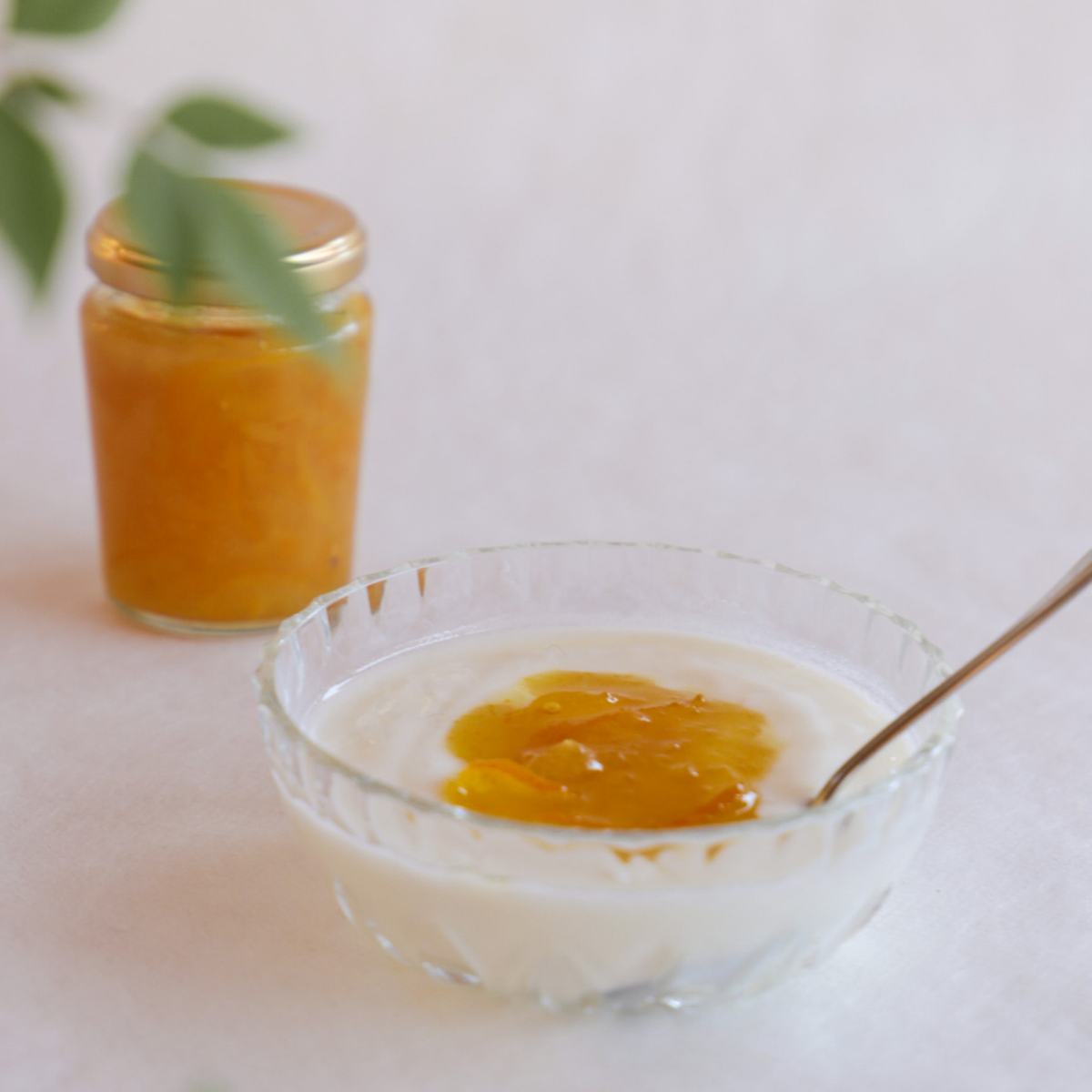 Organic Yuzu Marmalade