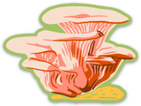 Long Lost Studio - Pink Oyster Mushroom Sticker