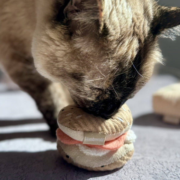Lambwolf Collective - Cat Toy Set - Kitty Pizza & Bagel