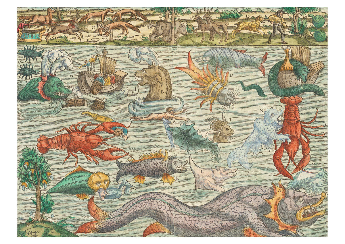 Sebastian Münster - Sea Monsters - Postcard