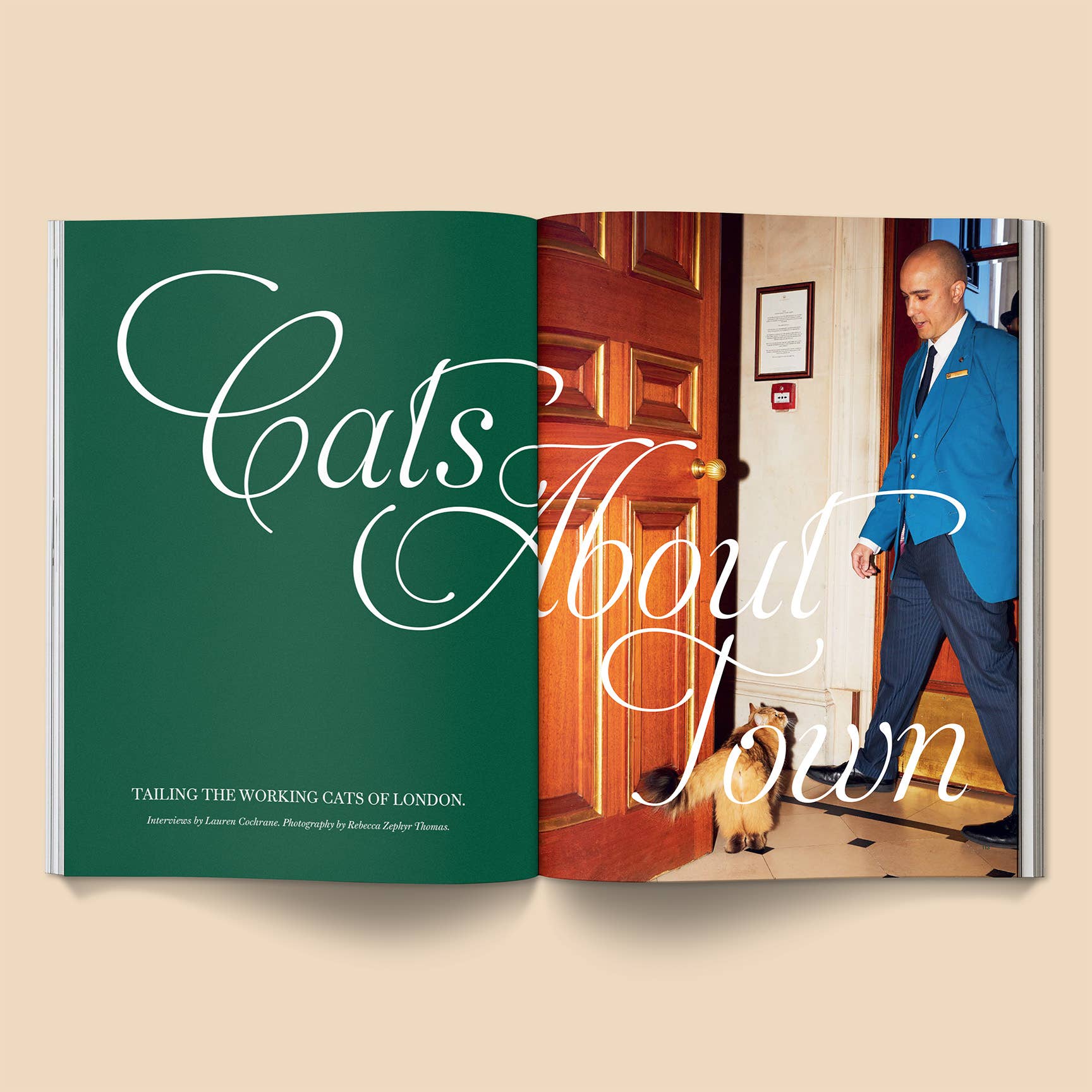 Catnip Magazine: Volume 2