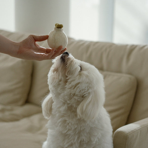 Lambwolf Collective - Enrichment Dog Toy - Garlic Pop