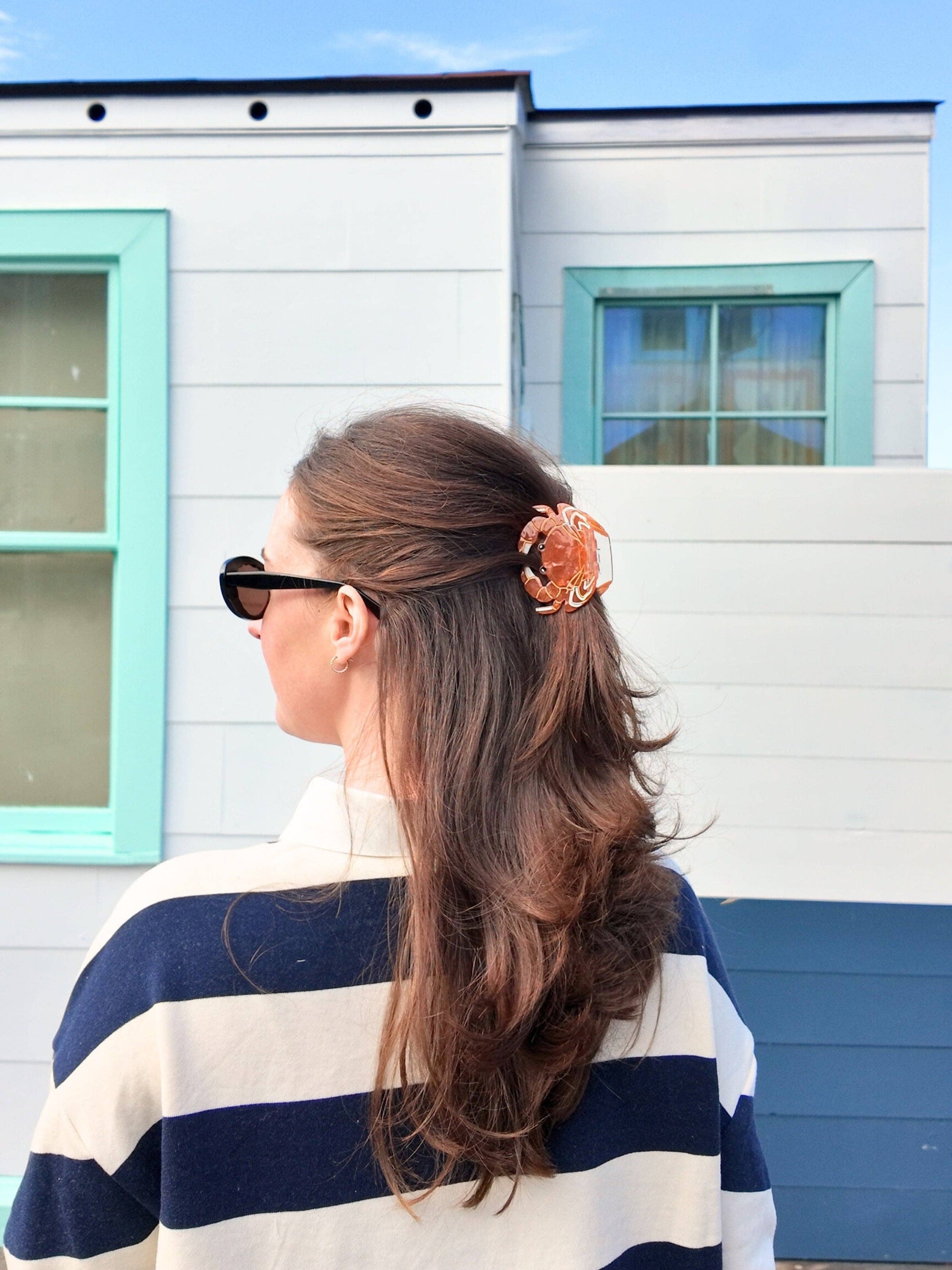 Solar Eclipse - Crab Claw Hair Clip