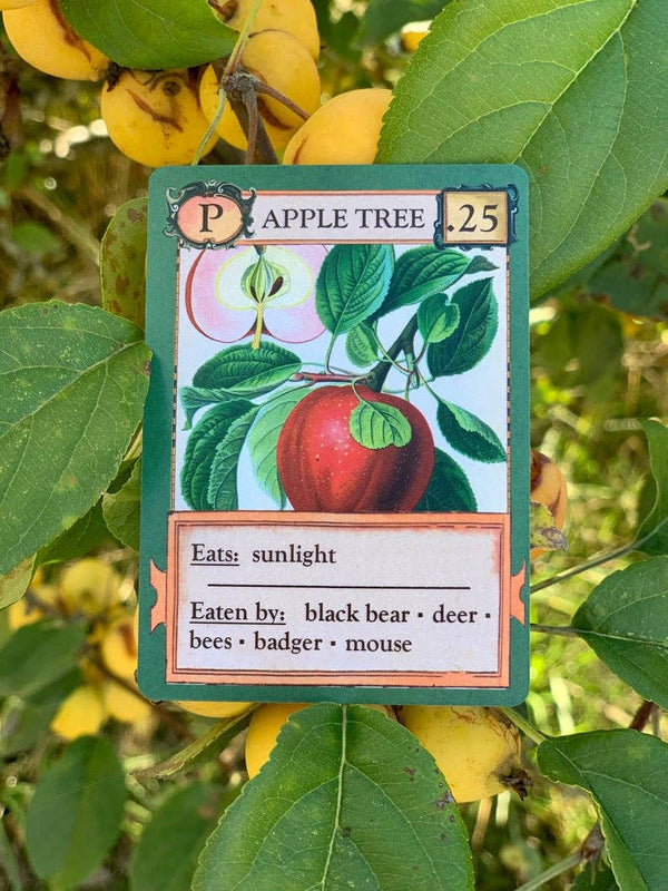 Ecologies Card Game