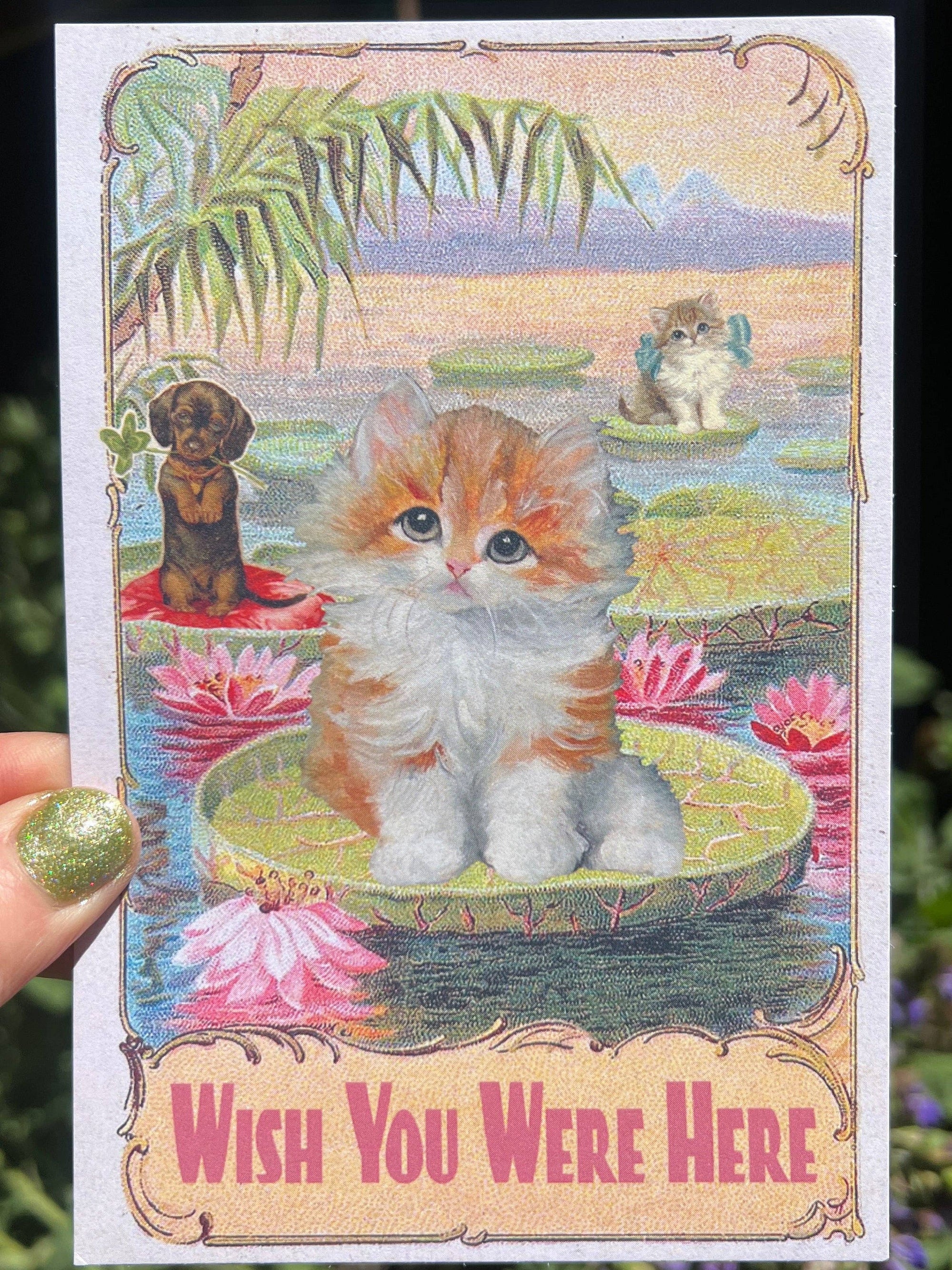 Wish You Were Here - Kittens On Lotus Pond Postcard