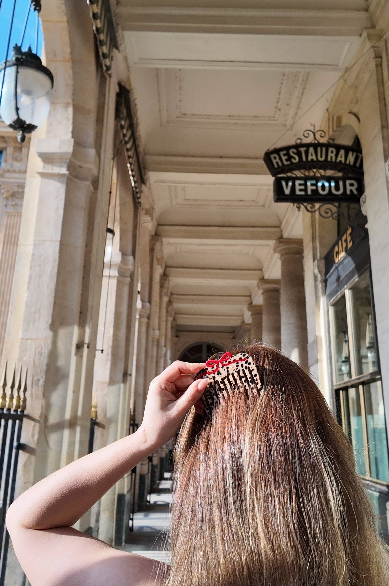 Solar Eclipse - Leopard Bow Pocket Hair Comb