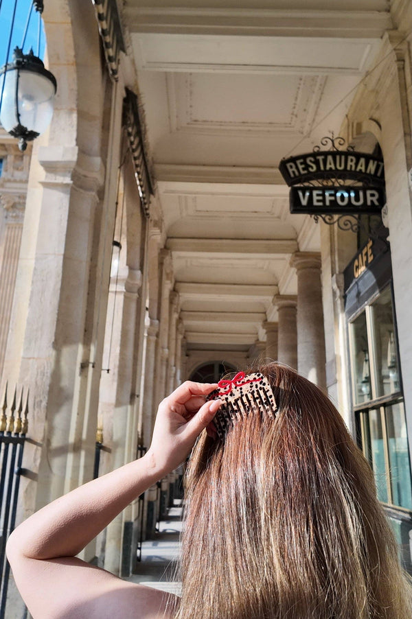 Solar Eclipse - Pocket Hair Comb - Leopard Bow