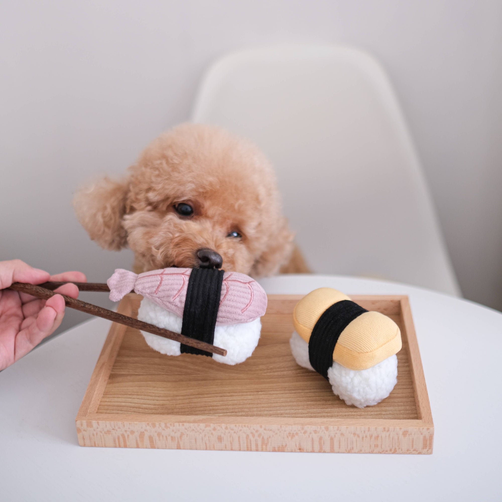 Lambwolf Collective - SUSHI // Enrichment dog toy