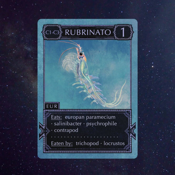 Ecologies: Solar System - Card Game