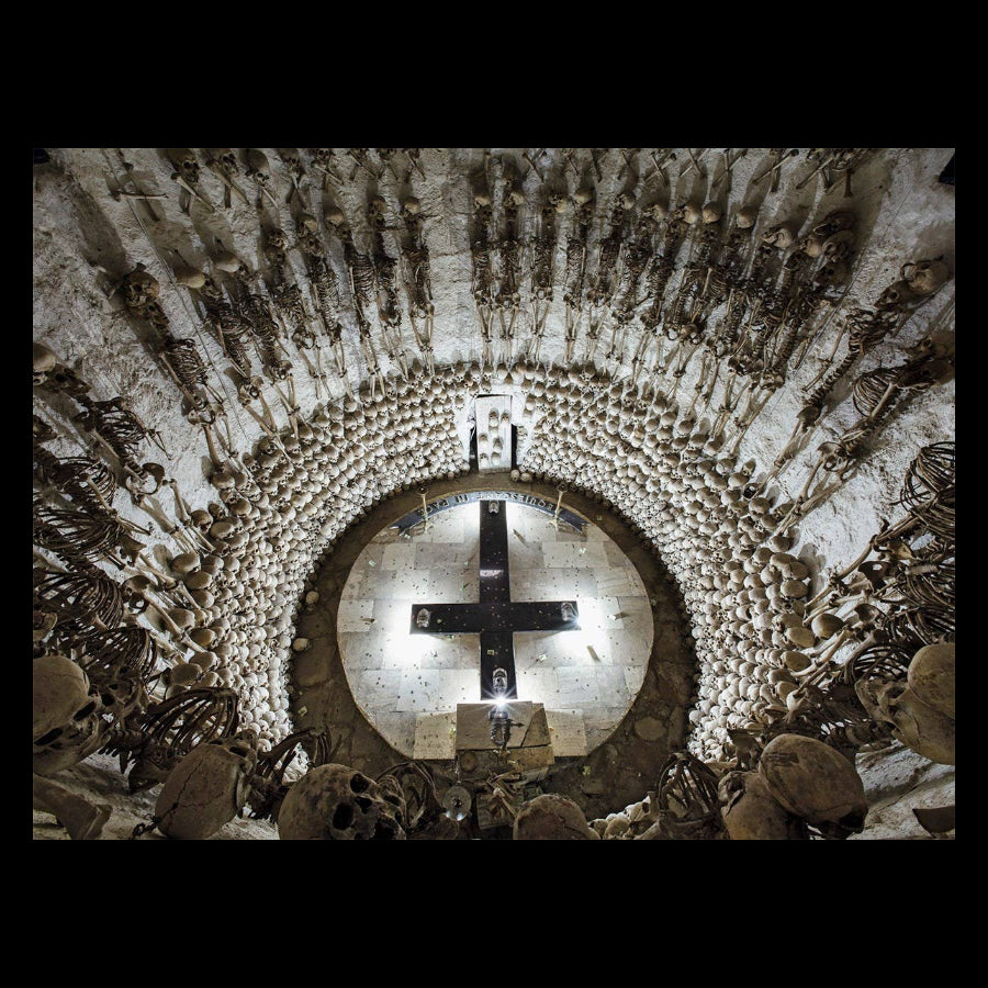 Memento Mori: The Dead Among Us by Paul Koudounaris
