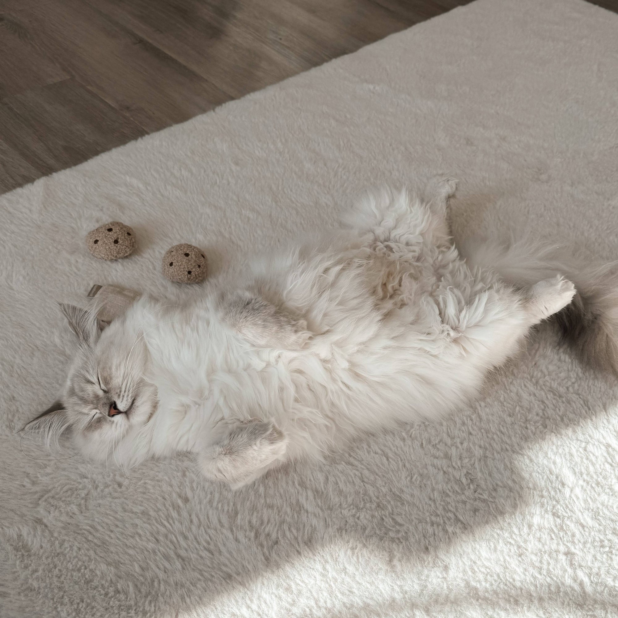 Lambwolf Collective - Catnip Cat Toy - Kitty Tea Time