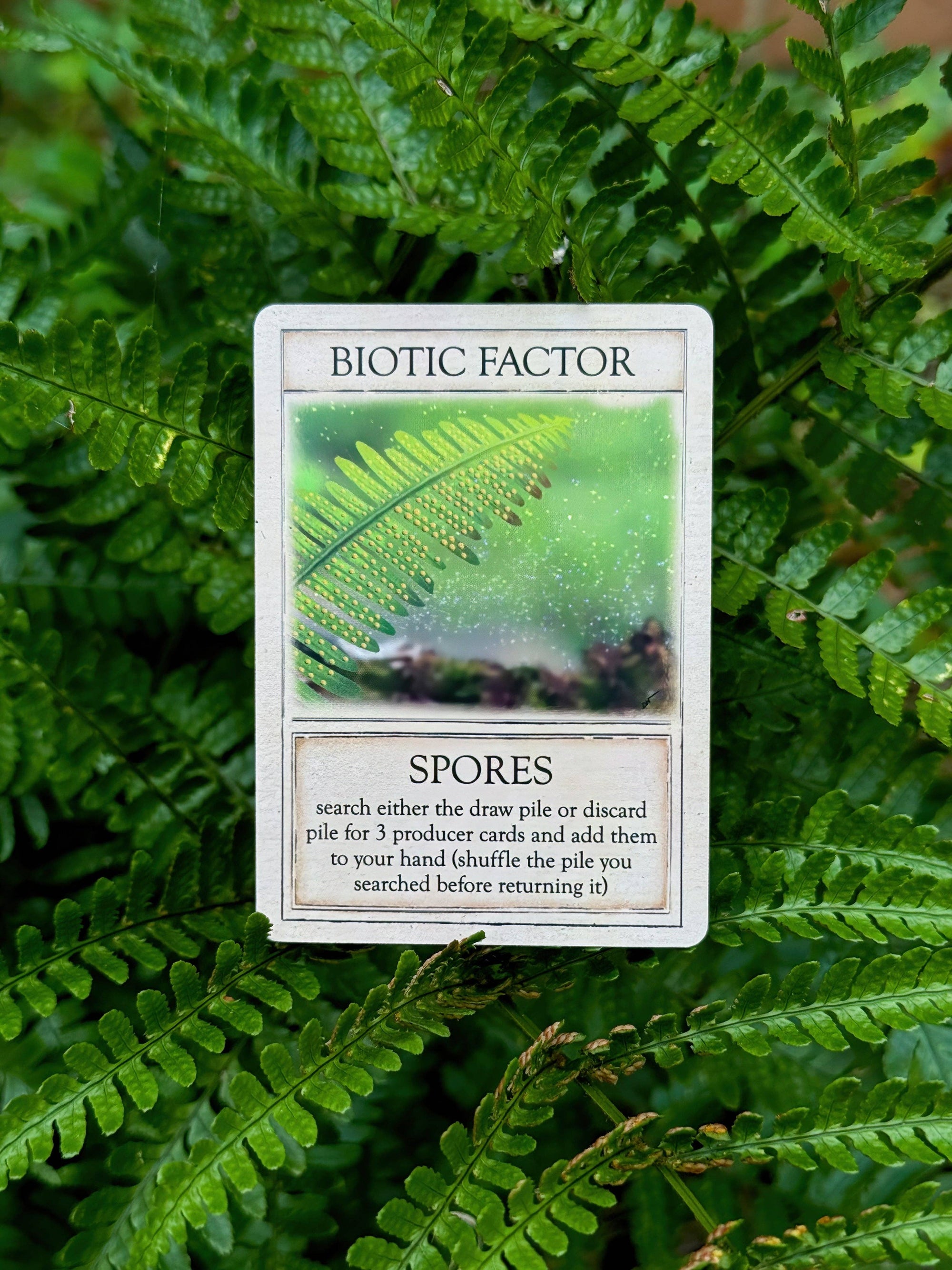 Ecologies: Ancient Areas - Card Game