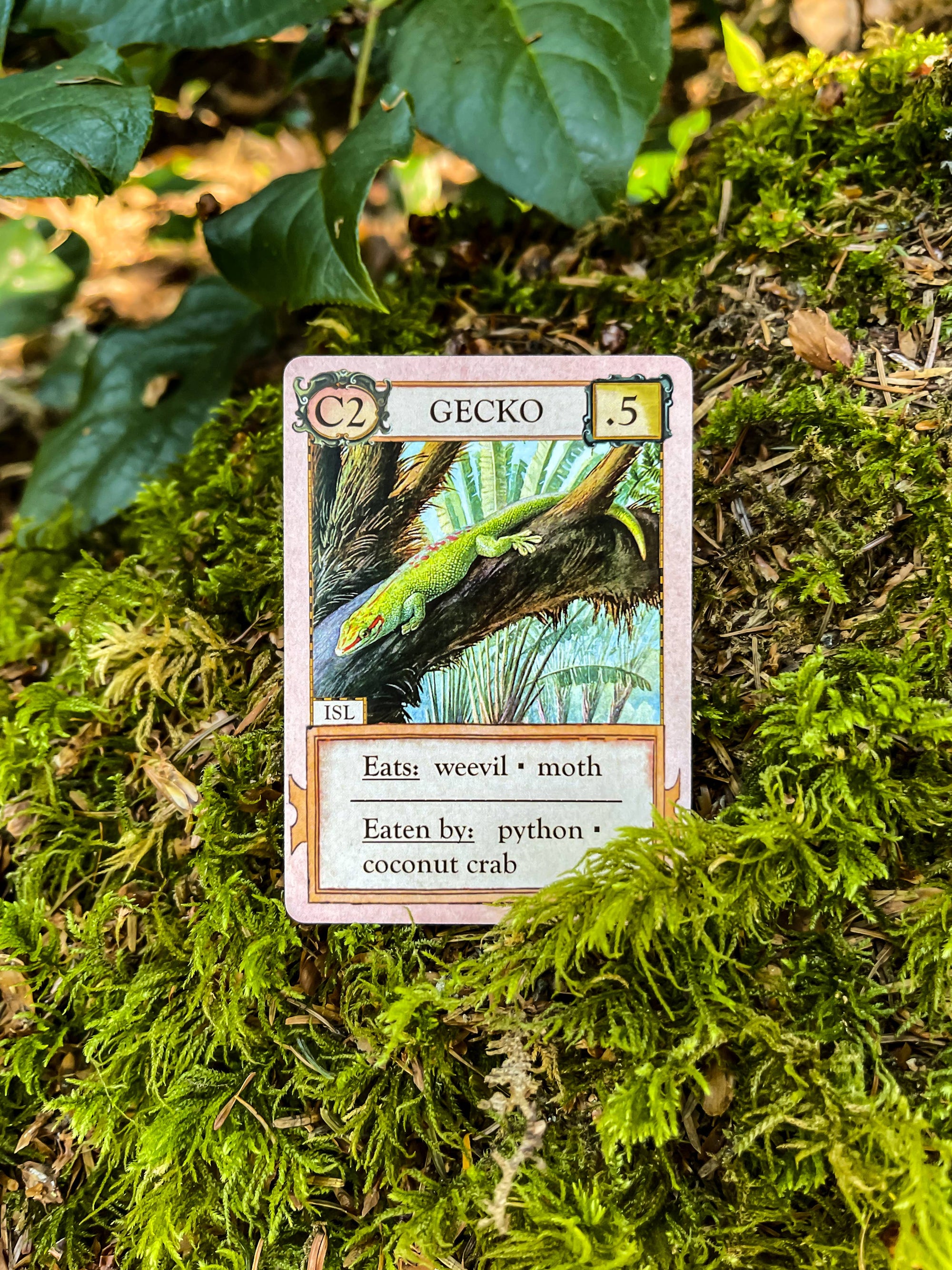 Ecologies: Hidden Habitats - Card Game