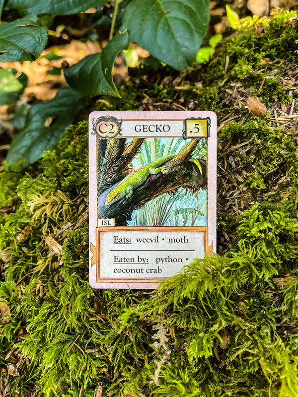 Ecologies: Hidden Habitats - Card Game